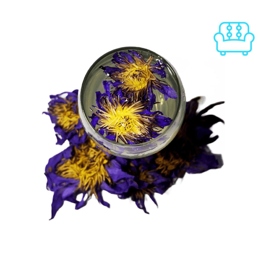 JGO Blue Lotus Tea Kit β 5 grams of premium dried Blue Lotus petals shown steeped in hot water for a calming, ceremonial tea experience