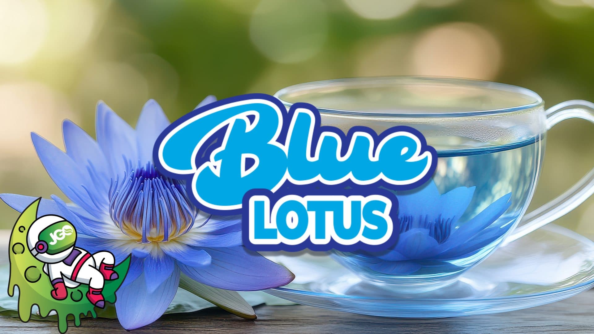 Explore Blue Lotus Gimmies & Blue Lotus Tea at JGO